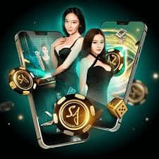 uk lotto Hamari Live Casino mein real dealers hain